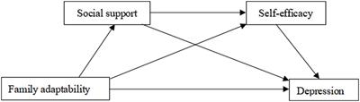 The association between family adaptability and adolescent depression: the chain mediating role of social support and self-efficacy